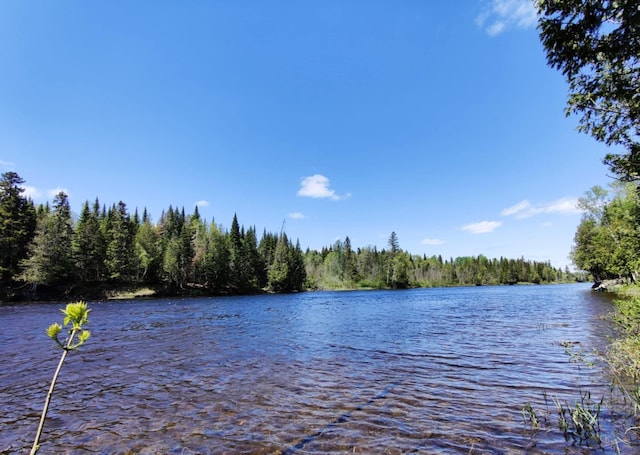 water view with a view of trees