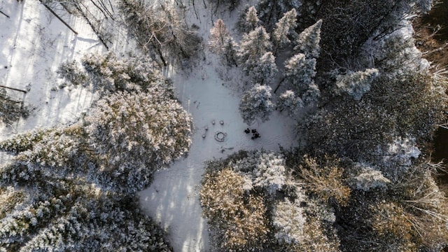 aerial view