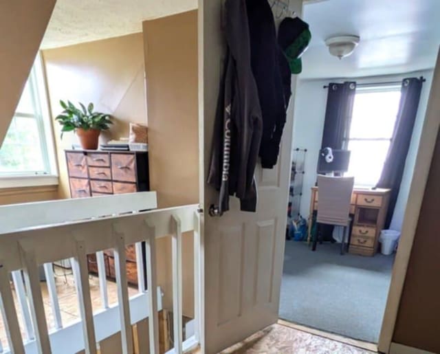 interior space with carpet