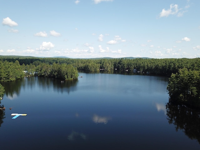 92 Red Gate Ln, Acton, ME 04001 - property view of water with a forest view