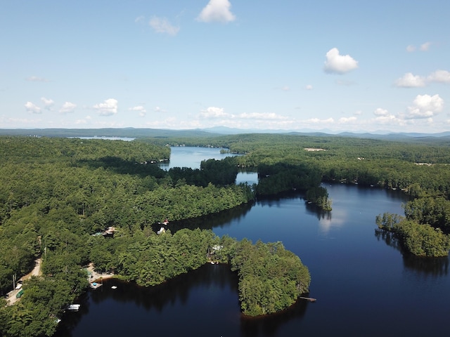 92 Red Gate Ln, Acton, ME 04001 - birds eye view of property featuring a wooded view and a water and mountain view