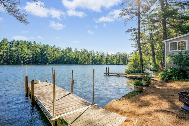 92 Red Gate Ln, Acton, ME 04001 - view of dock with a water view