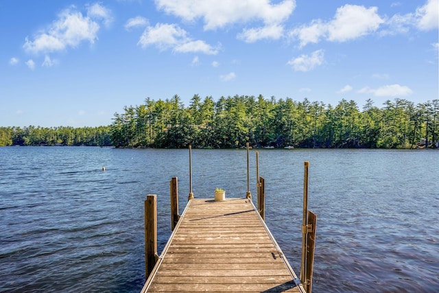 92 Red Gate Ln, Acton, ME 04001 - dock area featuring a water view
