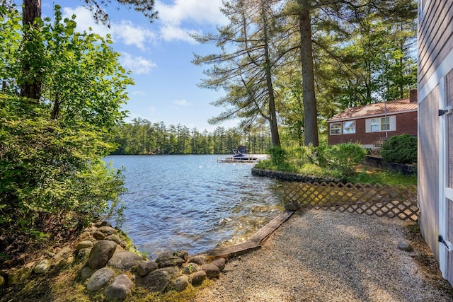 92 Red Gate Ln, Acton, ME 04001 - property view of water