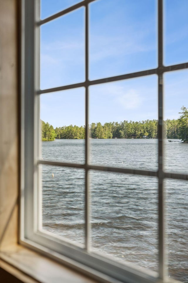 92 Red Gate Ln, Acton, ME 04001 - view of water feature