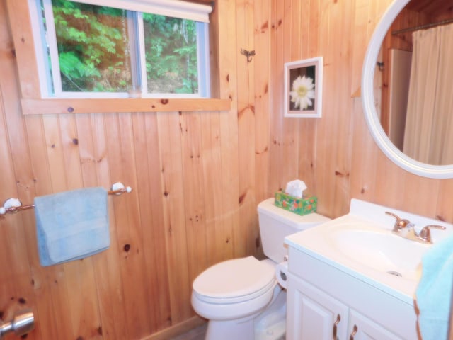 92 Red Gate Ln, Acton, ME 04001 - full bathroom featuring wooden walls, vanity, and toilet