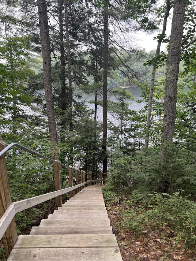 92 Red Gate Ln, Acton, ME 04001 - exterior space