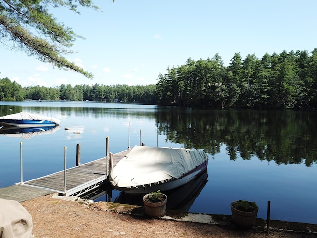 92 Red Gate Ln, Acton, ME 04001 - dock area featuring a water view and a forest view
