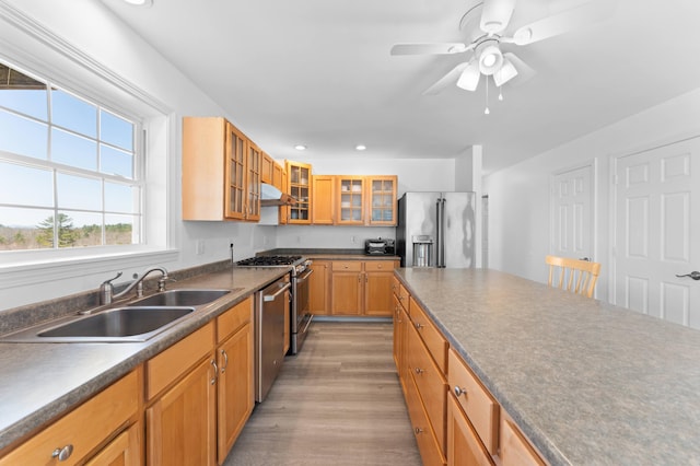 kitchen featuring dark countertops, a sink, under cabinet range hood, stainless steel appliances, and light wood-style flooring