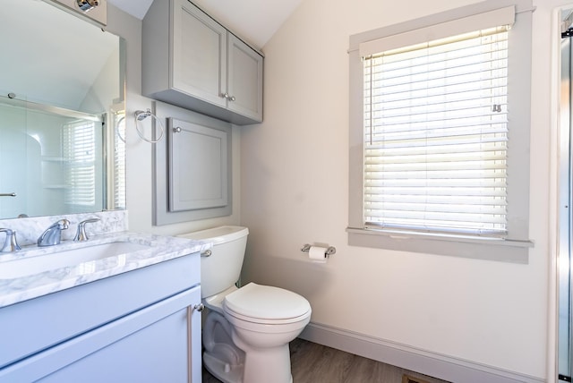 full bath featuring vanity, plenty of natural light, a shower with shower door, and toilet