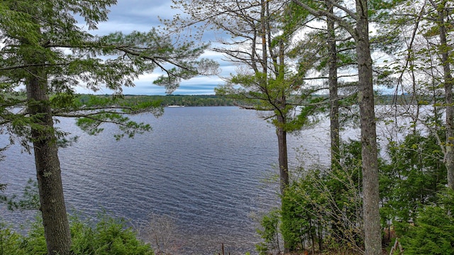 65 Pinecroft Rd, Harrison, ME 04040 - water view