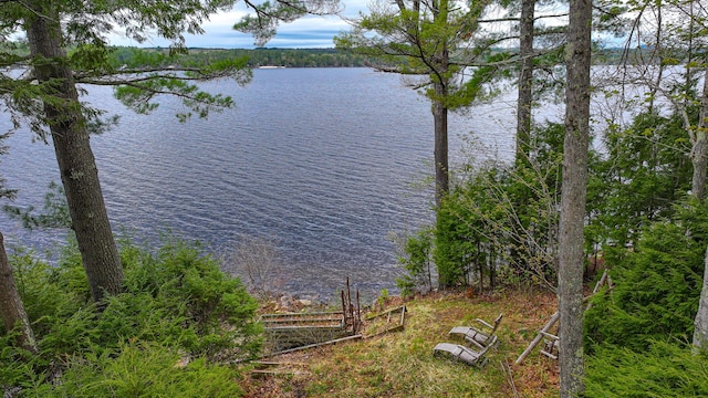 65 Pinecroft Rd, Harrison, ME 04040 - water view