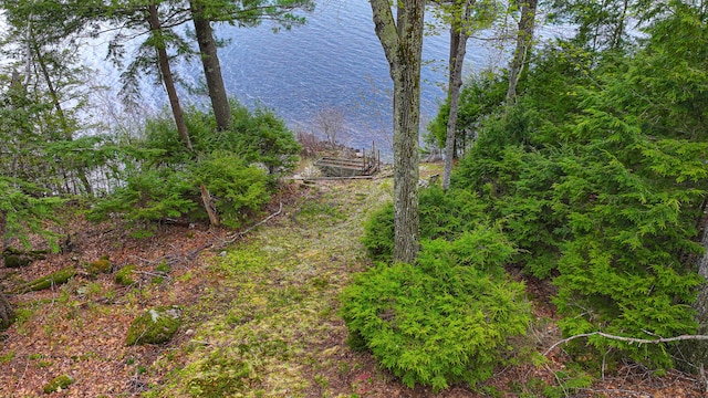 65 Pinecroft Rd, Harrison, ME 04040 - view of yard featuring a water view