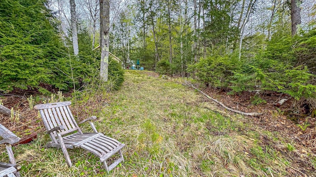 65 Pinecroft Rd, Harrison, ME 04040 - view of yard