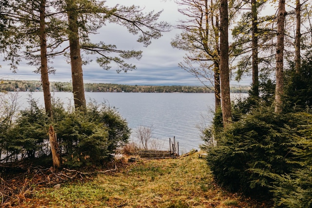 65 Pinecroft Rd, Harrison, ME 04040 - water view