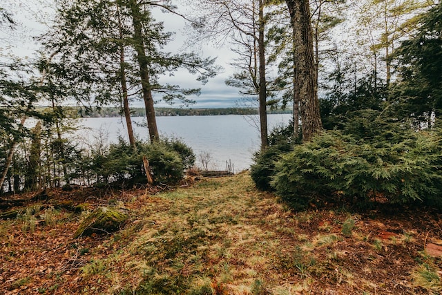 65 Pinecroft Rd, Harrison, ME 04040 - water view