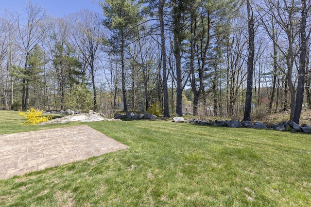 7 Berry Ln Unit 101, Biddeford, ME 04005 - view of green lawn featuring a patio