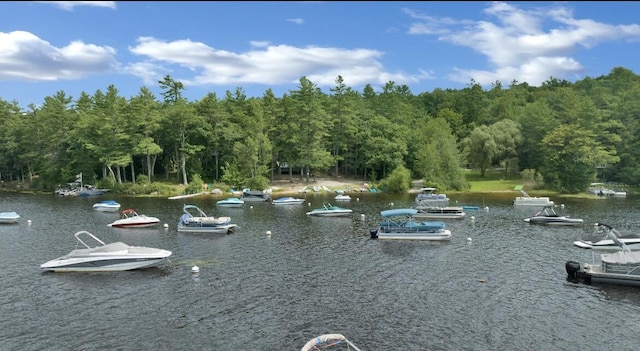 water view featuring a heavily wooded area