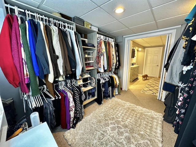 208 N Caribou Rd, Presque Isle, ME 04769 - walk in closet with carpet floors and a drop ceiling