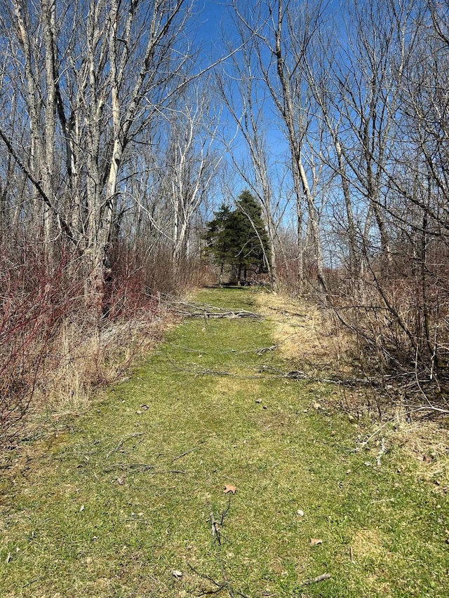 208 N Caribou Rd, Presque Isle, ME 04769 - view of yard
