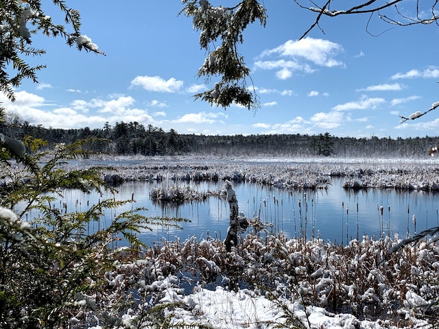 water view featuring a heavily wooded area