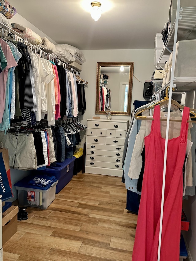 walk in closet featuring wood finished floors