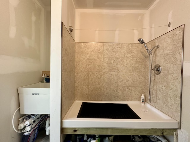 bathroom with a shower stall and a sink