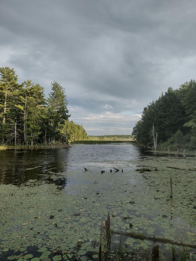 2630 N Belfast Ave, Augusta, ME 04330 - water view with a forest