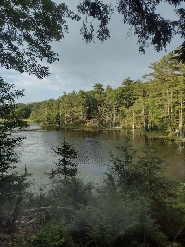 2630 N Belfast Ave, Augusta, ME 04330 - water view with a forest