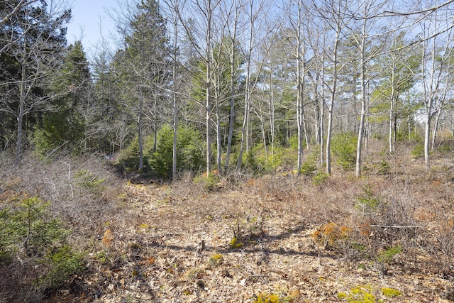 P/O4-1 Cameron Point Rd, Southport, ME 04576