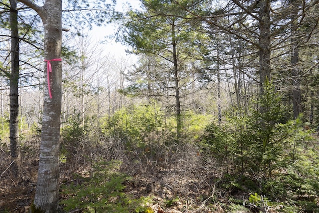 P/O4-1 Cameron Point Rd, Southport, ME 04576