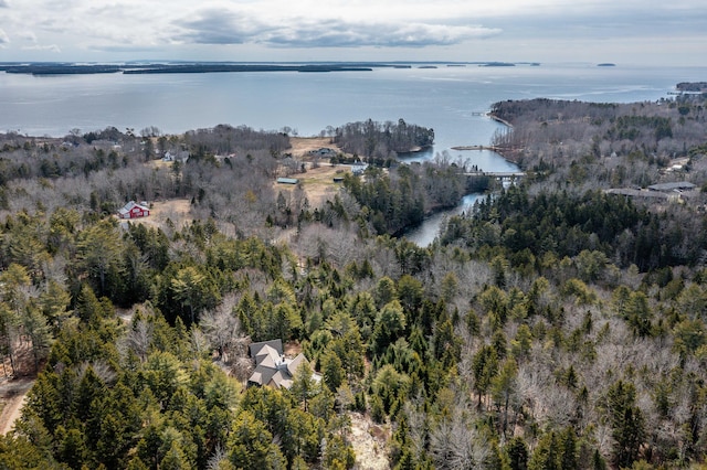 aerial view featuring a water view and a view of trees
