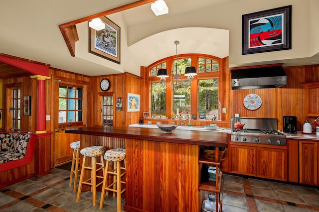 bar featuring wood walls, ventilation hood, vaulted ceiling, and a healthy amount of sunlight
