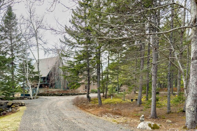 view of street with driveway