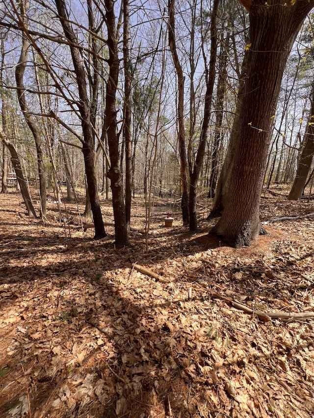 TBD Old Orchard Rd, Saco, ME 04072