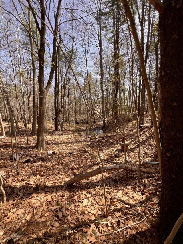 TBD Old Orchard Rd, Saco, ME 04072
