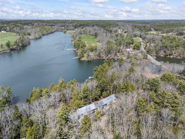 27 Carter Dr, West Bath, ME 04530 - bird's eye view featuring a wooded view and a water view