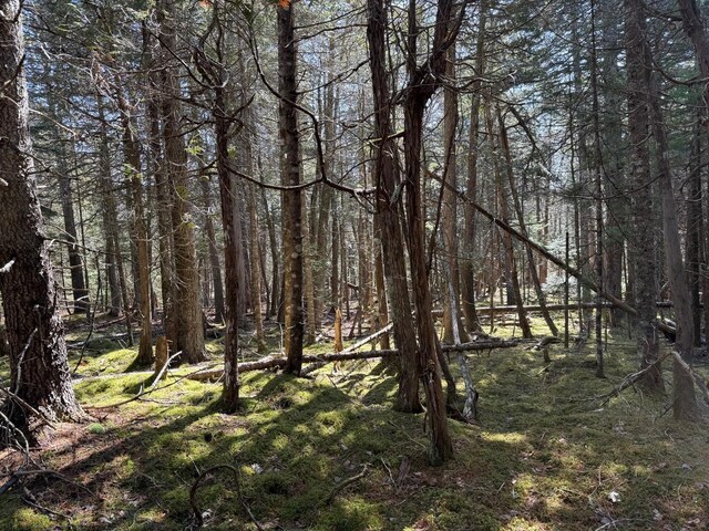 LOT48A Rte 1, Gouldsboro, ME 04607