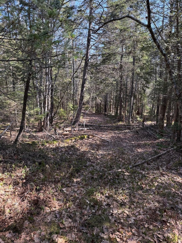 LOT48A Rte 1, Gouldsboro, ME 04607