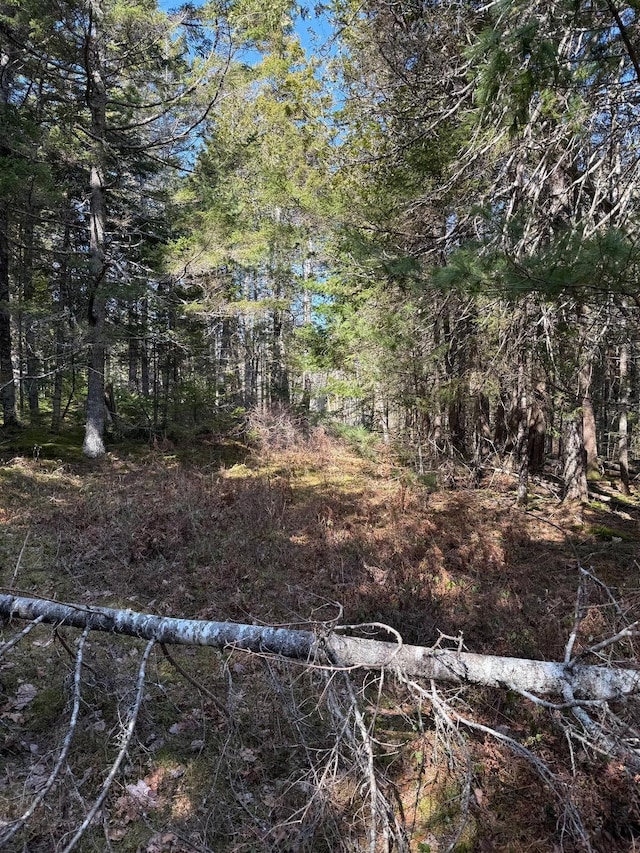 LOT48A Rte 1, Gouldsboro, ME 04607