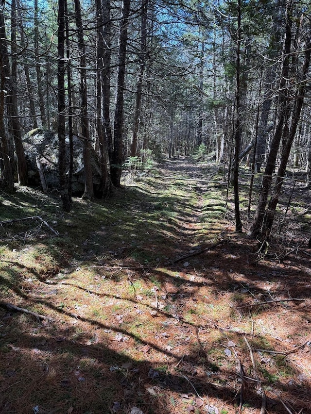 LOT48A Rte 1, Gouldsboro, ME 04607