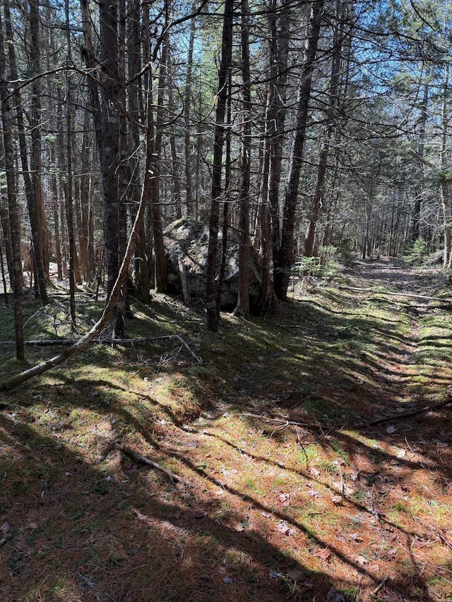 LOT48A Rte 1, Gouldsboro, ME 04607