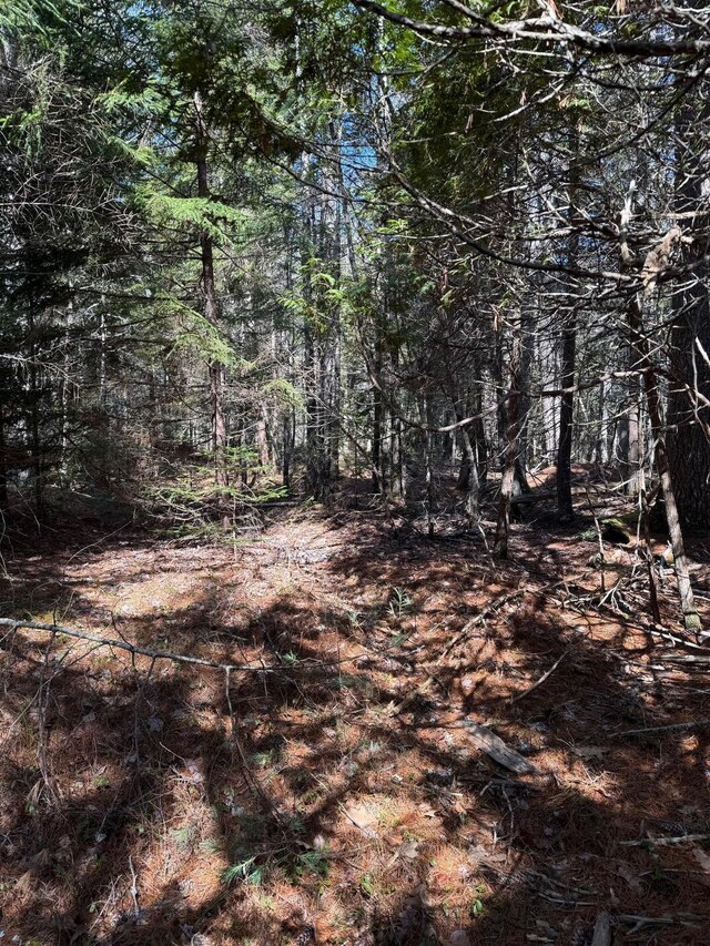 LOT48A Rte 1, Gouldsboro, ME 04607