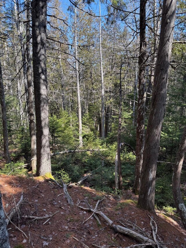 LOT48A Rte 1, Gouldsboro, ME 04607