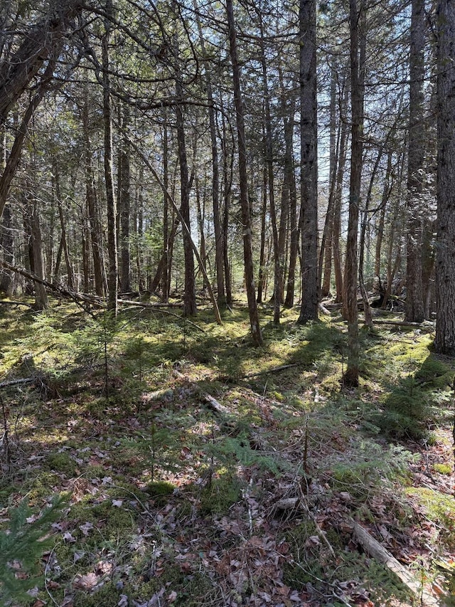 LOT48A Rte 1, Gouldsboro, ME 04607