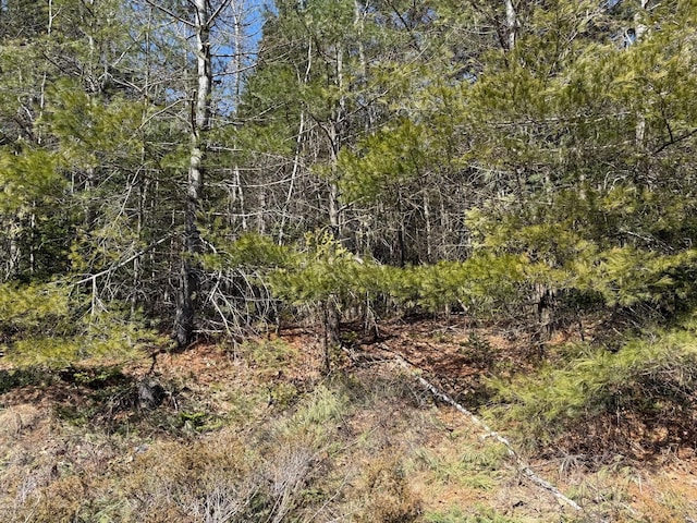 LOT48A Rte 1, Gouldsboro, ME 04607