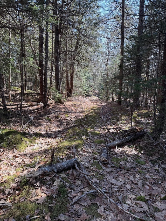 LOT48A Rte 1, Gouldsboro, ME 04607