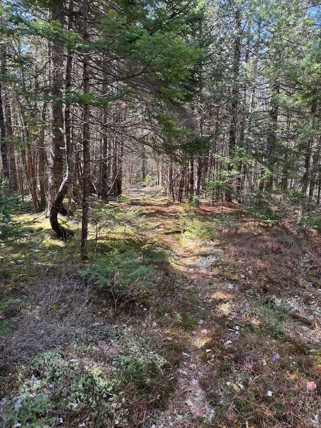 LOT48A Rte 1, Gouldsboro, ME 04607