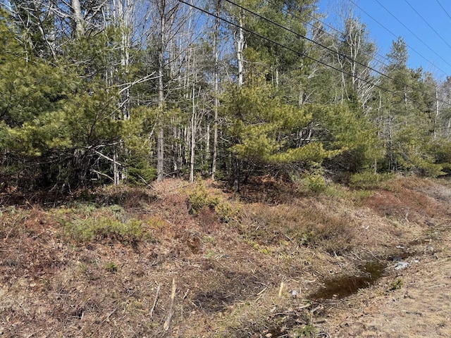 LOT48A Rte 1, Gouldsboro, ME 04607