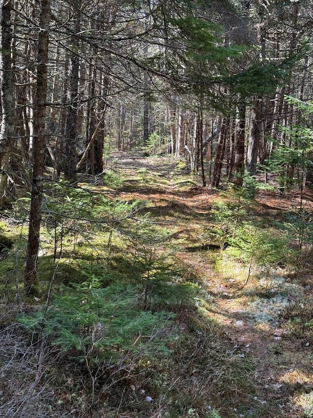 LOT48A Rte 1, Gouldsboro, ME 04607